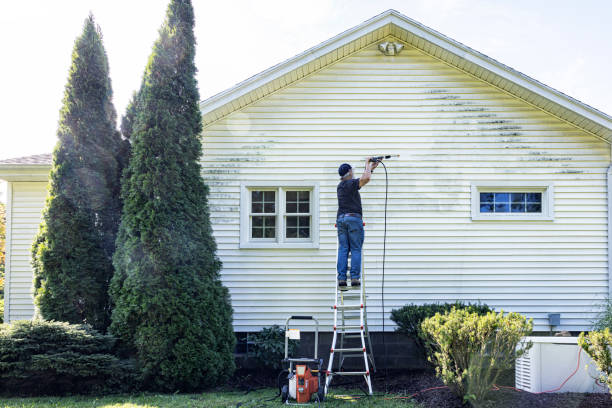 Best Driveway Pressure Washing  in Van Alstyne, TX